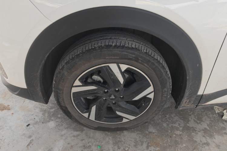 Used NETA X 2024 500 Prestige Edition Exterior 4