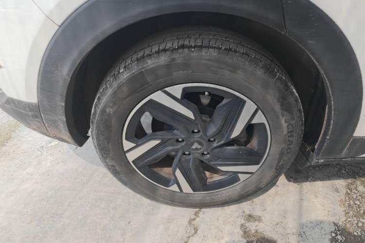 Used NETA X 2024 500 Prestige Edition Exterior 5
