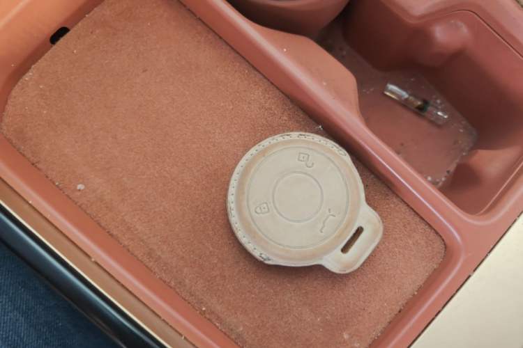 Used NETA X 2024 500 Prestige Edition Interior 1