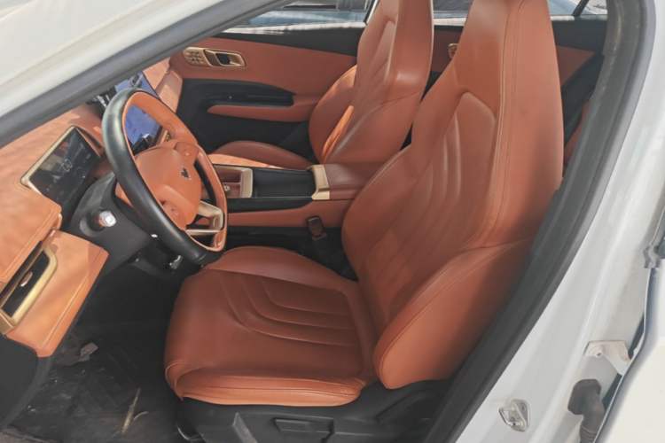 Used NETA X 2024 500 Prestige Edition Left Front Seat