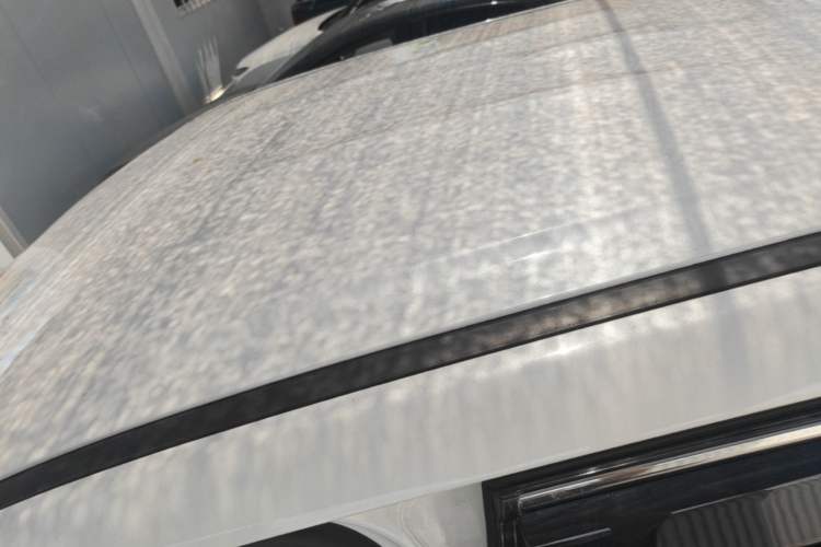 Used NETA X 2024 500 Prestige Edition Roof