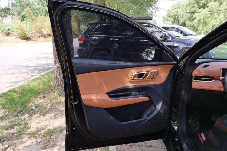 Used NETA X 2025 500 Plus Left Front Door Interior
