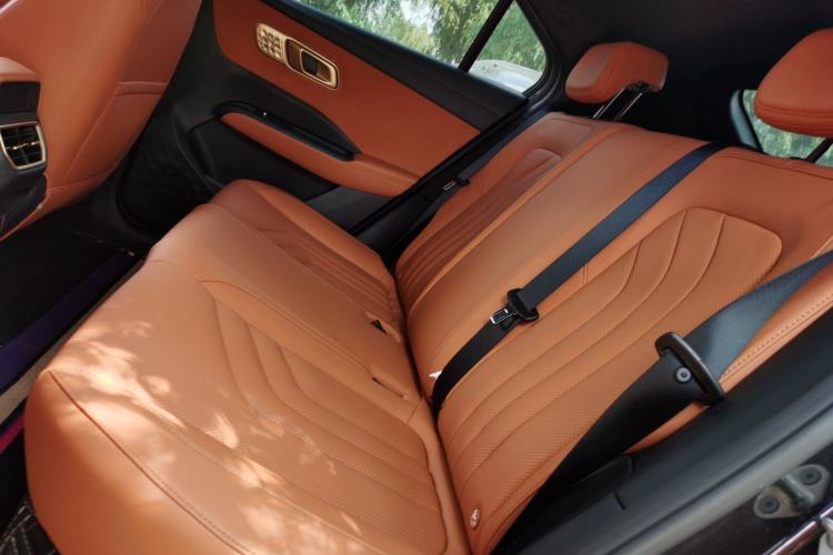 Used NETA X 2025 500 Plus Left Rear Seat