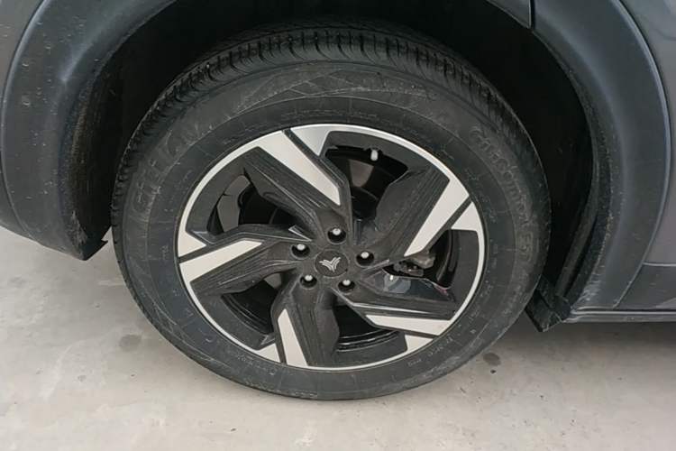 Used NETA X 2025 500 Plus Exterior 5