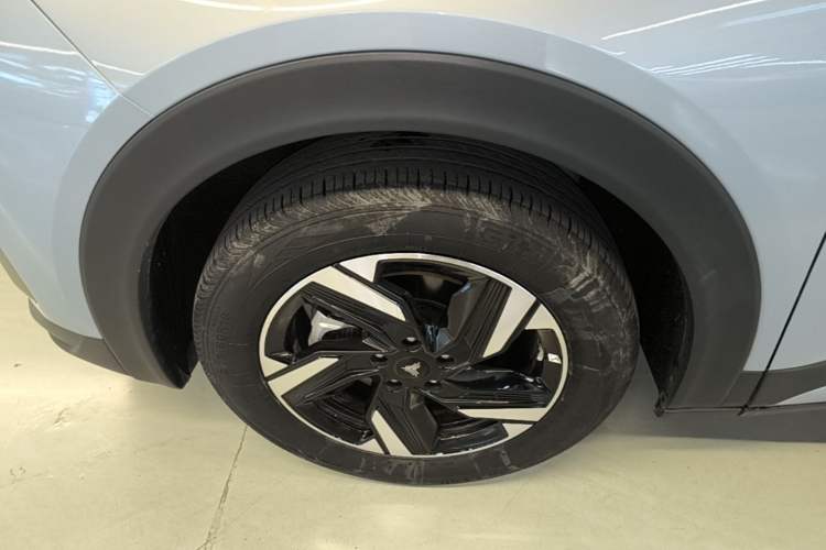 Used NETA X 2025 500 Plus Exterior 4