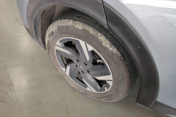 Used NETA X 2025 500 Plus Exterior 8