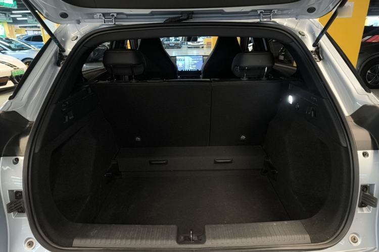 Used NETA X 2025 500 Plus Trunk