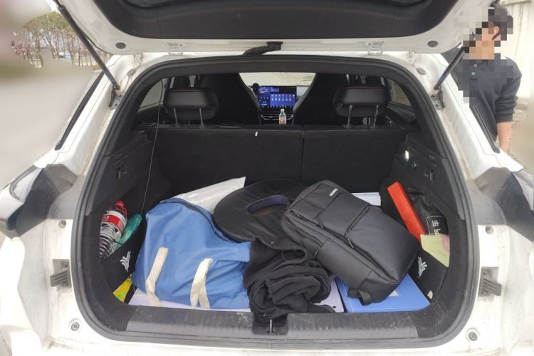 Used NETA X 2025 500 Plus Trunk