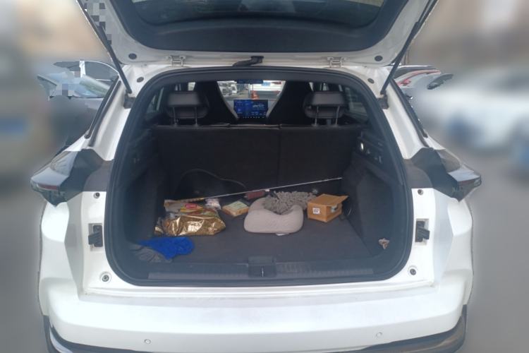 Used NETA X 2025 500 Plus Trunk