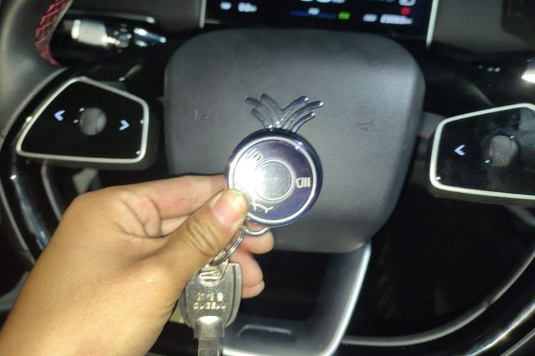 Used NETA X 2025 500 Air Vehicle Key