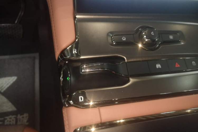 Used Nio EC6 2020 430 km Sport Version Gear Lever