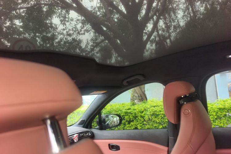 Used Nio EC6 2020 615 km Performance Edition Headliner