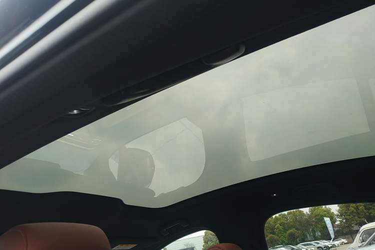 Used Nio EC6 2020 615 km Performance Edition Headliner