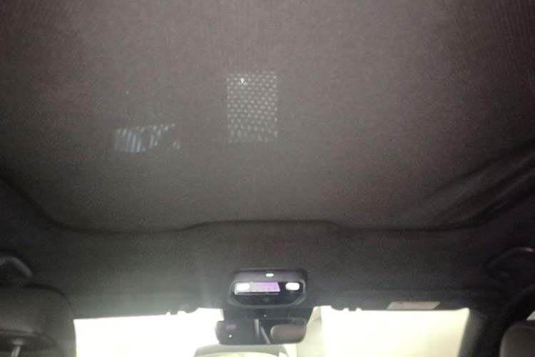 Used Nio EC6 2020 615 km Performance Edition Headliner