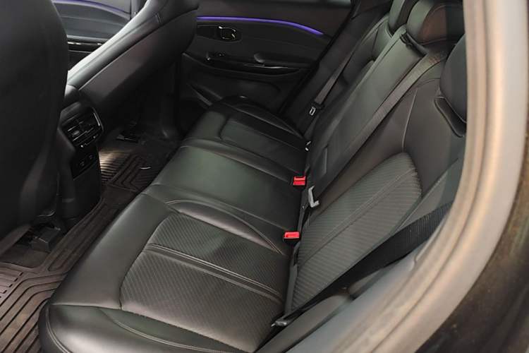Used Nio EC6 2020 440 km Performance Version Left Rear Seat