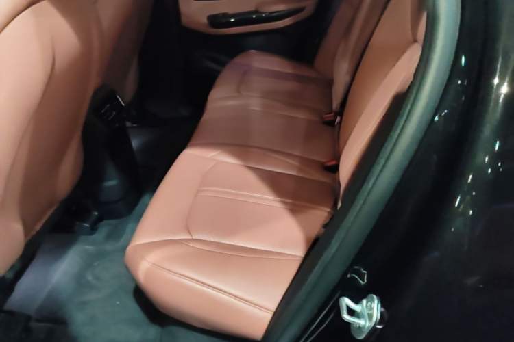 Used Nio EC6 2020 475 km Performance Version Left Rear Seat