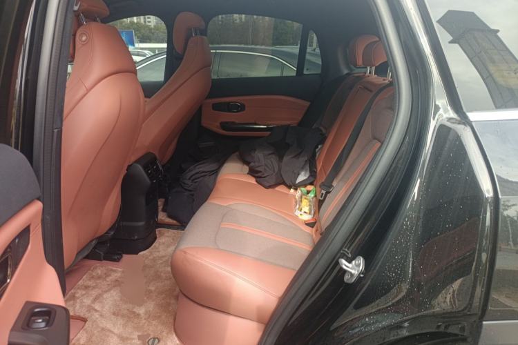 Used Nio EC6 2020 440KM Signature Edition Left Rear Seat