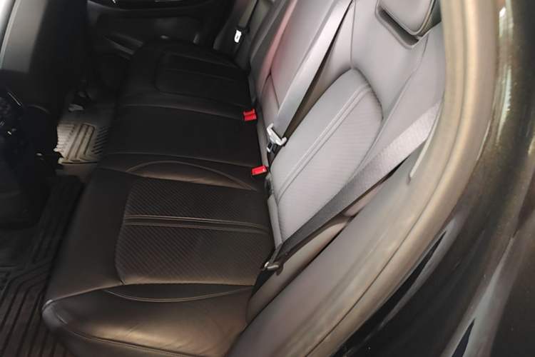 Used Nio EC6 2020 440 km Performance Version Left Rear Seat