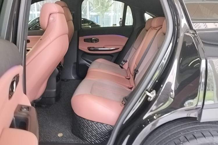 Used Nio EC6 2020 465 km Sport Edition Left Rear Seat