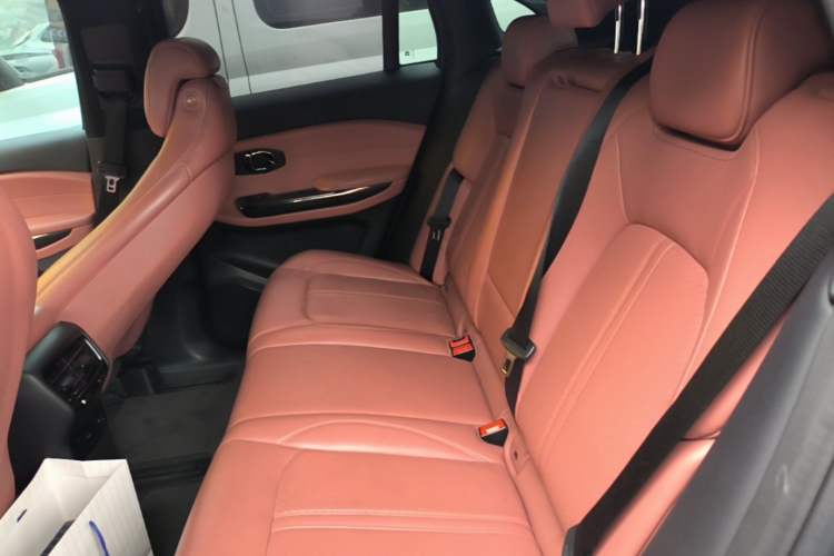 Used Nio EC6 2020 615 km Performance Edition Left Rear Seat