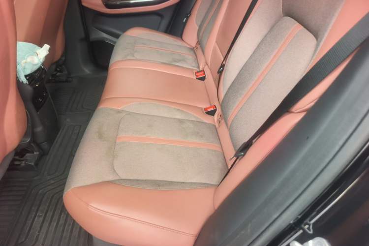 Used Nio EC6 2020 615 km Performance Edition Left Rear Seat