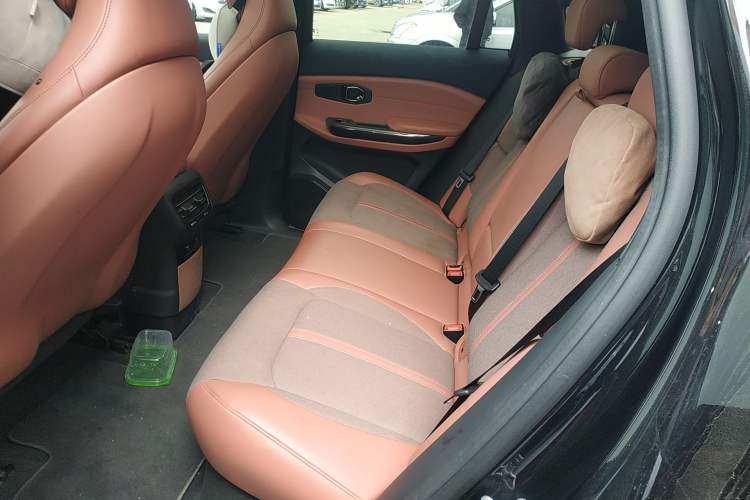 Used Nio EC6 2020 615 km Performance Edition Left Rear Seat