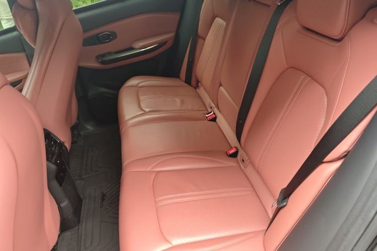 Used Nio EC6 2020 465 km Sport Edition Left Rear Seat
