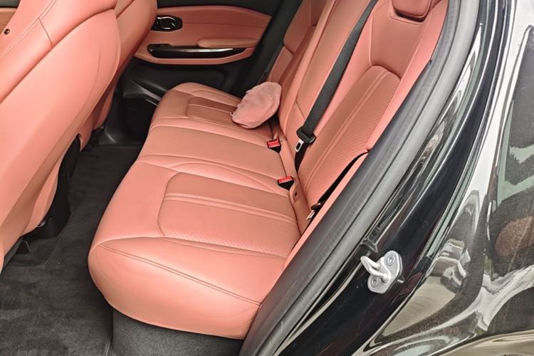 Used Nio EC6 2020 440 km Performance Version Left Rear Seat