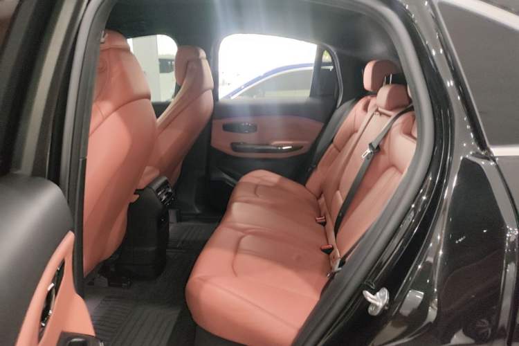 Used Nio EC6 2020 440KM Signature Edition Left Rear Seat