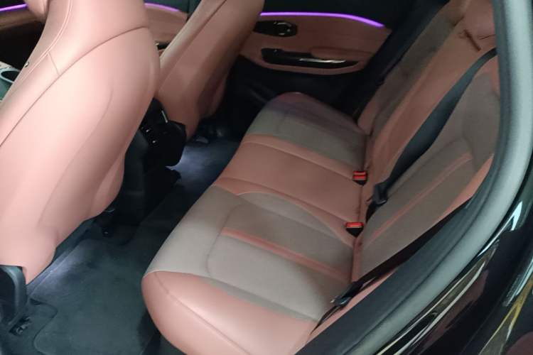 Used Nio EC6 2020 430 km Sport Version Left Rear Seat