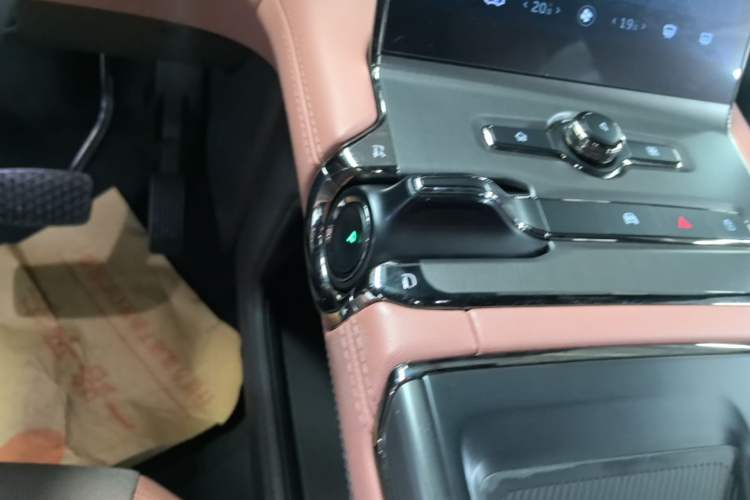 Used Nio EC6 2020 430 km Sport Version Gear Lever