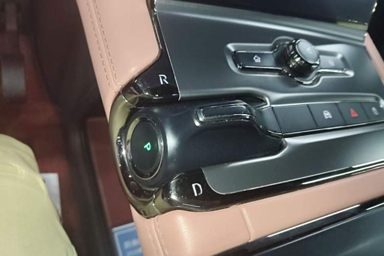 Used Nio EC6 2020 430 km Sport Version Gear Lever