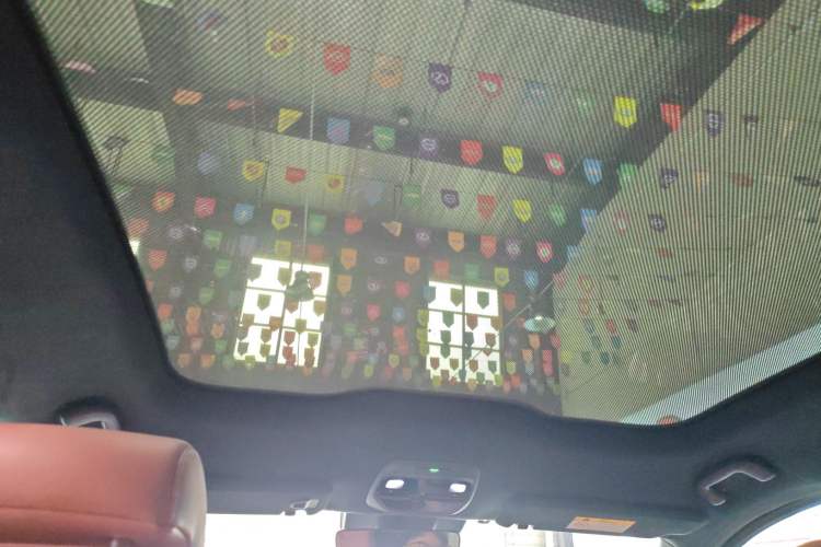 Used Nio EC6 2020 615 km Performance Edition Headliner