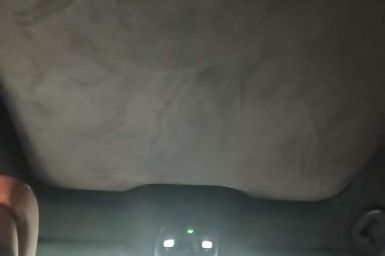 Used Nio EC6 2020 615 km Performance Edition Headliner
