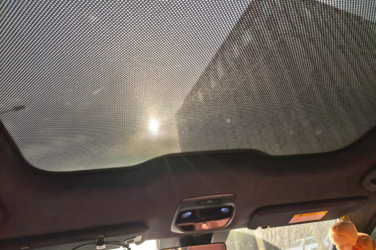 Used Nio EC6 2020 615 km Performance Edition Headliner