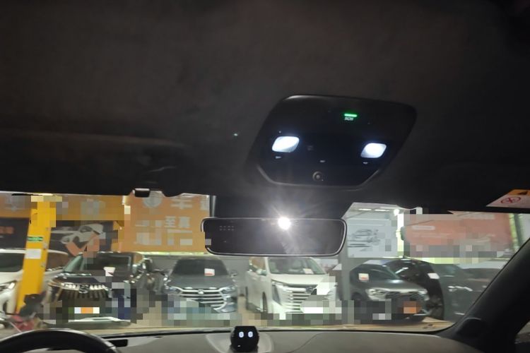Used Nio EC6 2020 615 km Performance Edition Headliner