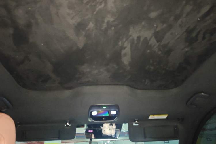 Used Nio EC6 2020 440 km Performance Version Headliner