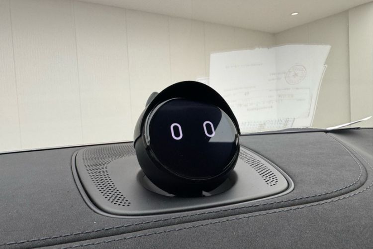 Used Nio EC6 2020 440 km Performance Version Interior 10