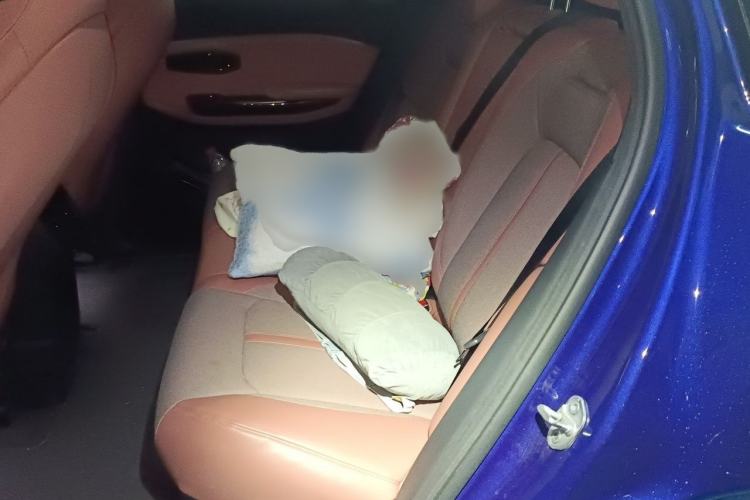 Used Nio EC6 2020 440KM Signature Edition Interior 4