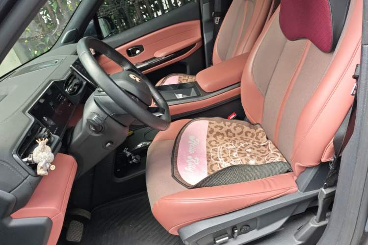 Used Nio EC6 2020 430 km Sport Version Left Front Seat