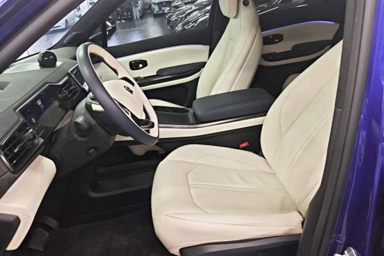 Used Nio EC6 2020 440 km Performance Version Left Front Seat