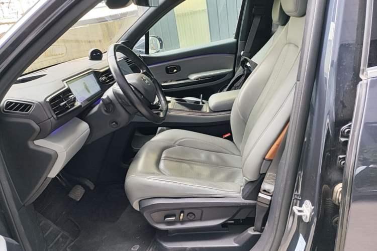 Used Nio EC6 2020 440KM Signature Edition Left Front Seat