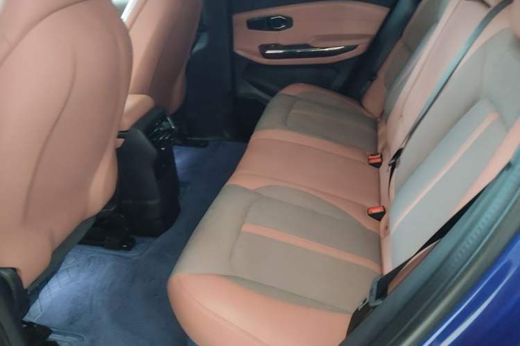Used Nio EC6 2020 440 km Performance Version Left Rear Seat