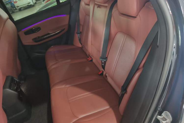 Used Nio EC6 2020 615 km Performance Edition Left Rear Seat