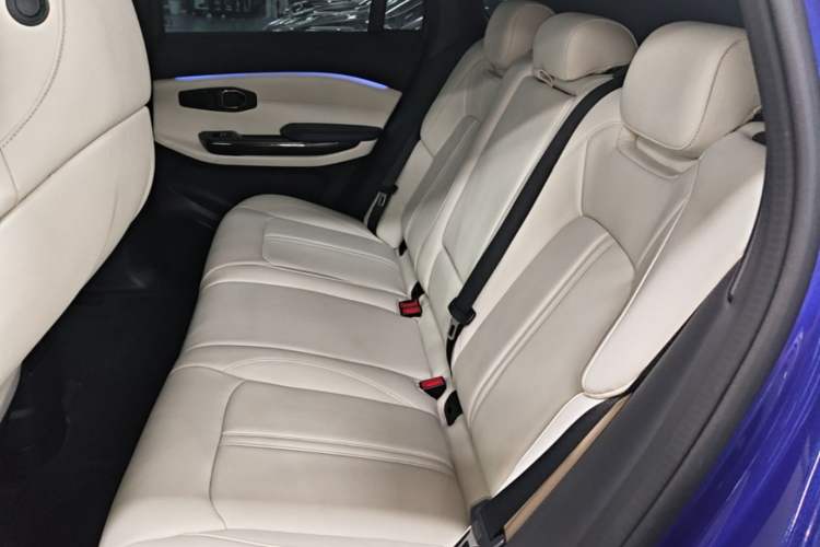 Used Nio EC6 2020 440 km Performance Version Left Rear Seat
