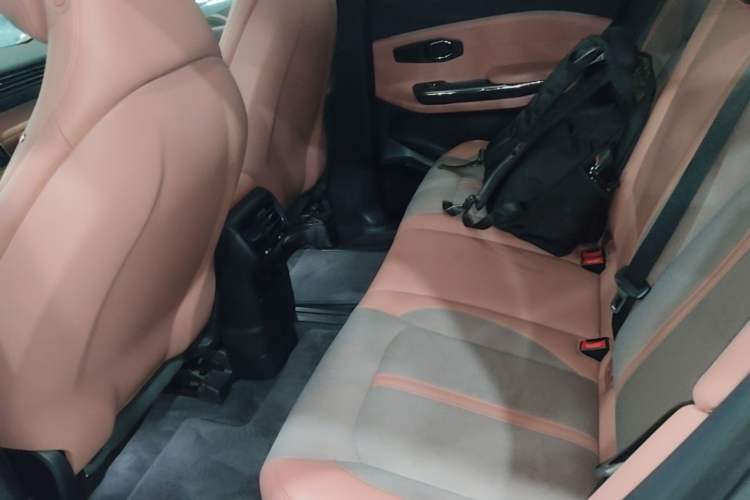 Used Nio EC6 2020 440 km Performance Version Left Rear Seat