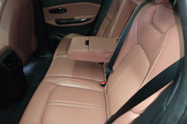 Used Nio EC6 2020 440 km Performance Version Left Rear Seat