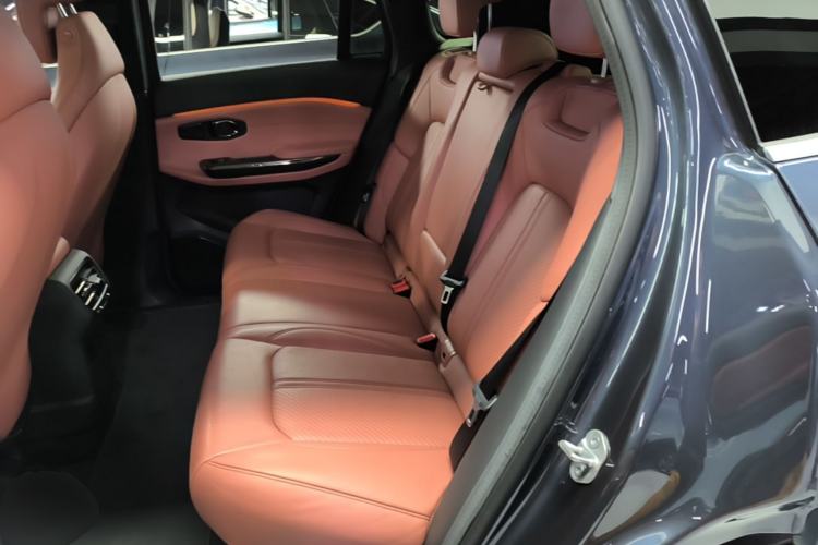 Used Nio EC6 2020 440 km Performance Version Left Rear Seat