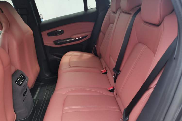 Used Nio EC6 2020 615 km Performance Edition Left Rear Seat