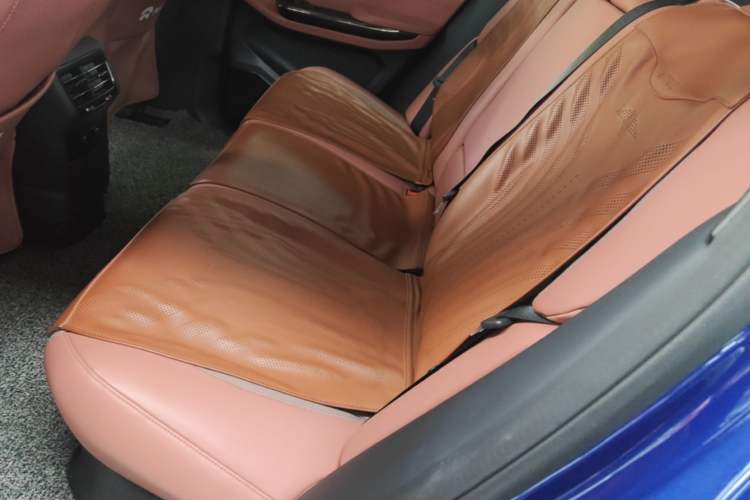 Used Nio EC6 2020 615 km Performance Edition Left Rear Seat